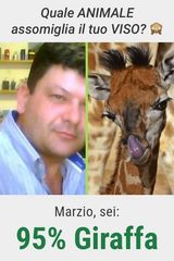 Фотография пользователя Marzio