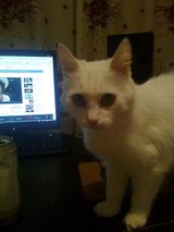 Photos MaksimMaksimoff