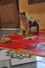 Photos AgustusSeptember