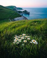 Zdjęcie użytkownika Azka4