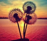 Foto pengguna Beehappy