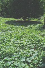 Foto utilizatorului Ramli