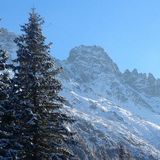 Foto utilizatorului Piotr3223