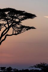 Zdjęcie użytkownika Viktr