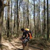 Zdjęcie użytkownika Dmss