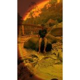 Zdjęcie użytkownika ShodikinM