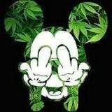 Zdjęcie użytkownika Mlodyyy420