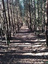 Benutzerfoto wojtunioxxxd