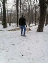 Benutzerfoto ZaPracoWanYPL