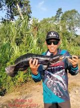 Zdjęcie użytkownika bangyady5gmailco