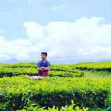 Zdjęcie użytkownika MuhammadMazidan