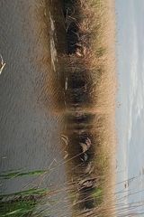 Zdjęcie użytkownika PolandoEmigrant