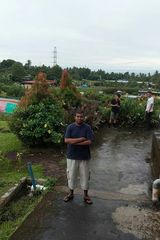 Foto utilizatorului Ipin