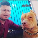 Fotka uživatele Yantomengge