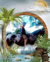 Zdjęcie użytkownika MarceloRu