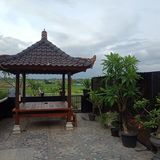 Фото користувача NanaM