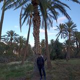 Фотография пользователя MohamedMohamed11