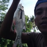 Фото користувача AjipP