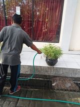 Zdjęcie użytkownika AloysiusL