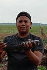 Фотография пользователя Tarjono