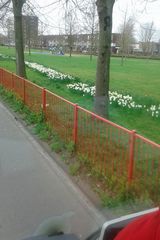 Fotos tomekmalecki