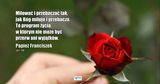 Фотография пользователя Przemek279