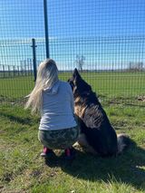 Benutzerfoto DorotaKl