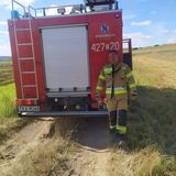 Fotka uživatele AndrzejGrebosz2