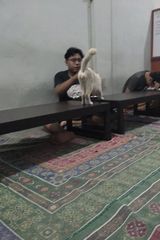 Benutzerfoto Sukriadi