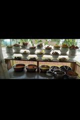 Фото користувача RopaR