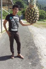 Benutzerfoto Effendy