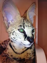 Zdjęcie użytkownika Fsd313