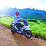 Фото користувача Xsall