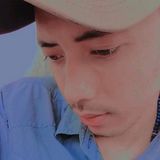 Fotka uživatele Rinalldi