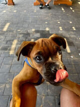 Фото користувача DziolkoM