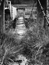 Фотография пользователя MaharD