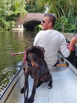 Фотография пользователя Flo999