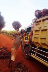 Foto utilizatorului Zebas