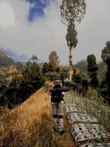 Foto utilizatorului Afid3223