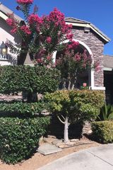 Фотография пользователя RichardLl