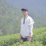 Zdjęcie użytkownika Toat