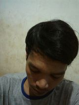 Photos Bips