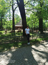 Zdjęcie użytkownika orxanyusifov39gma