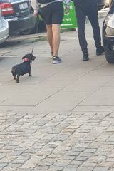 Fotka uživatele Persen