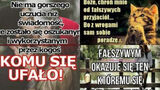 Zdjęcie użytkownika PatrykBuda2001