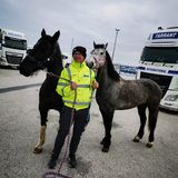 Фото користувача PawelNN