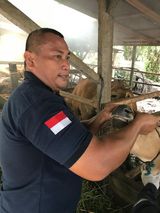 Zdjęcie użytkownika Brojek