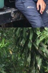 Photos Rizalandriansah