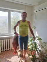 Foto pengguna Ruslanz