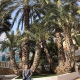 Zdjęcie użytkownika Patt1990